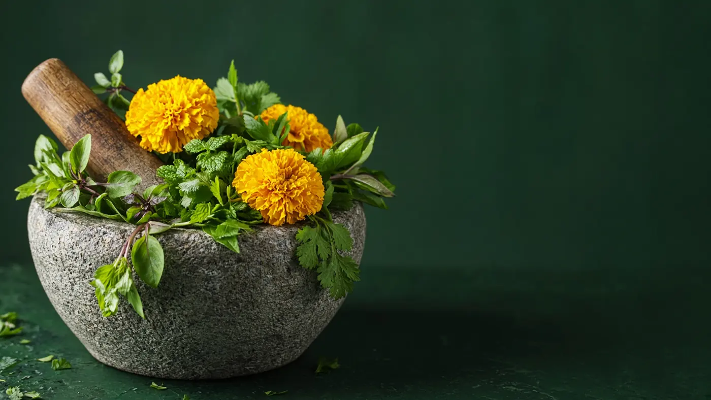 Stone mortar filled with marigold flowers and fresh green herbs