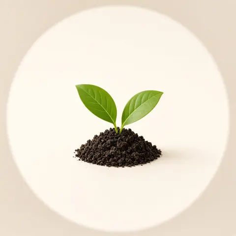 Immunity & kitchen herbs