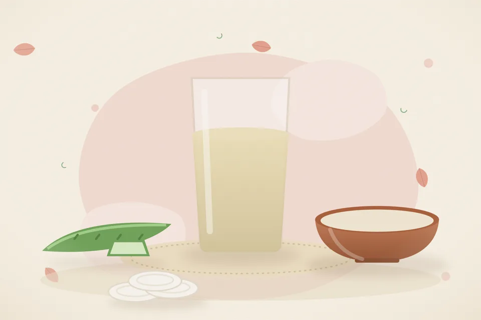 Illustrated still life with aloe vera.