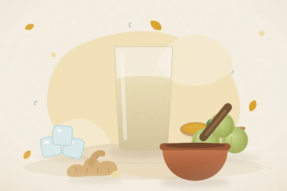 Illustrated still life with ice, amla, fresh ginger.