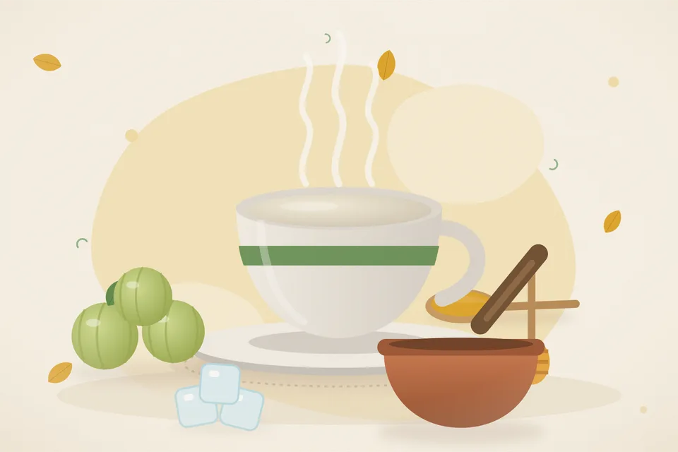 Illustrated still life with amla, honey, ice.