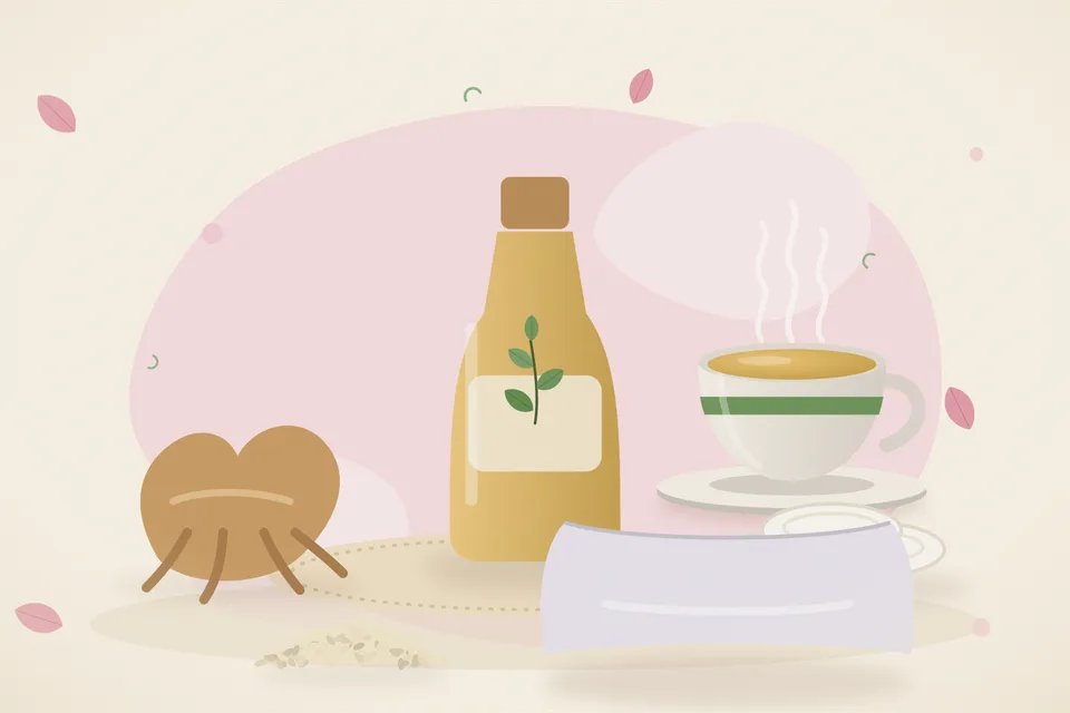 Illustrated still life with ashwagandha root, cotton pads, sesame seeds, a soft pillow.