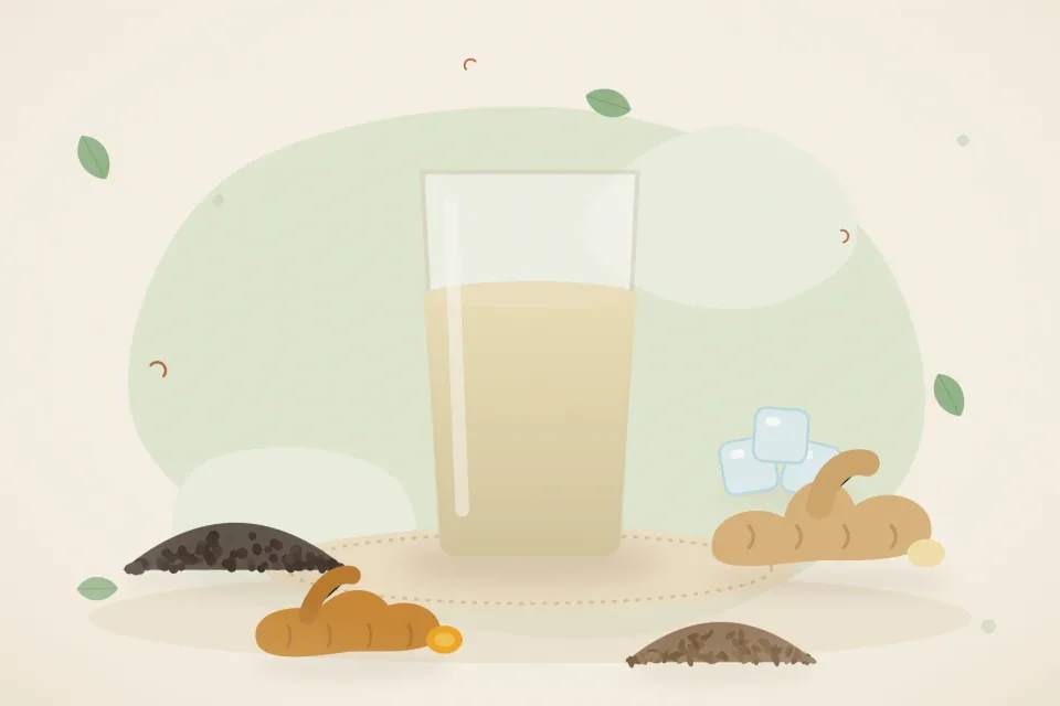 Illustrated still life with black pepper, fresh ginger, turmeric root, cumin seeds, ice.