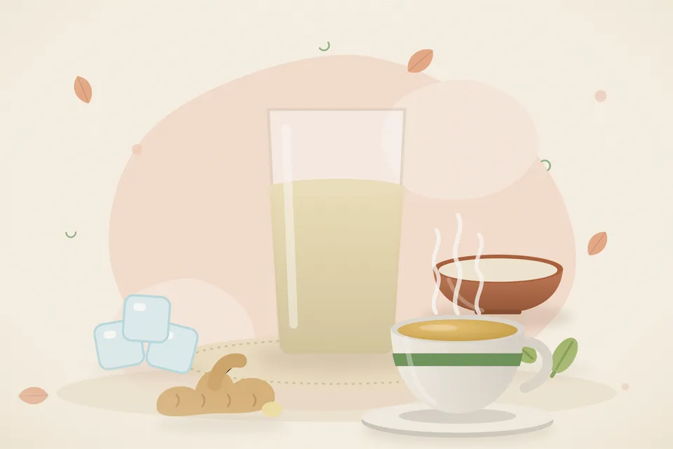 Illustrated still life with ice, cardamom, fresh ginger.