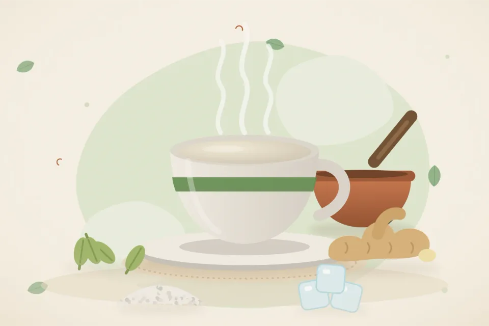 Illustrated still life with cardamom, fresh ginger, mishri crystals, ice.