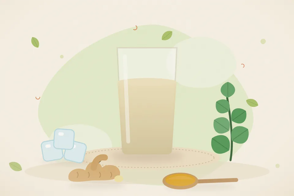 Illustrated still life with ice, mint leaves, fresh ginger.