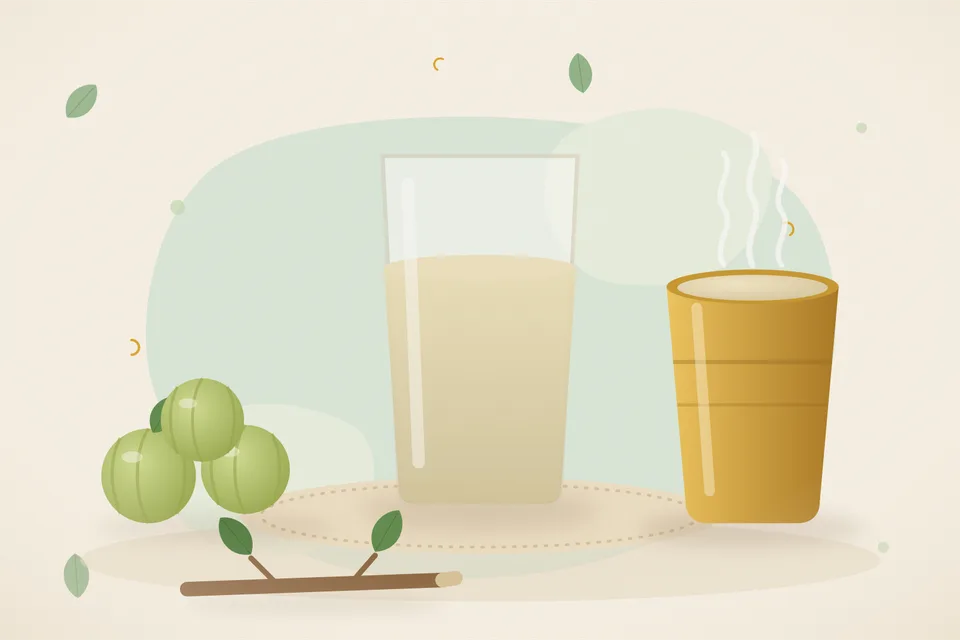 Illustrated still life with amla.