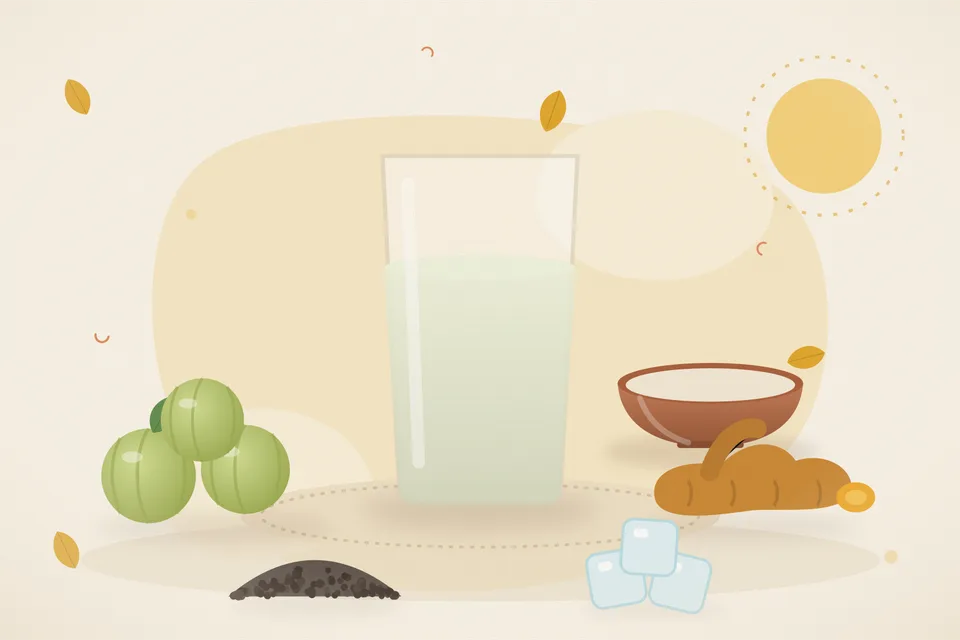 Illustrated still life with amla, turmeric root, black pepper, ice.