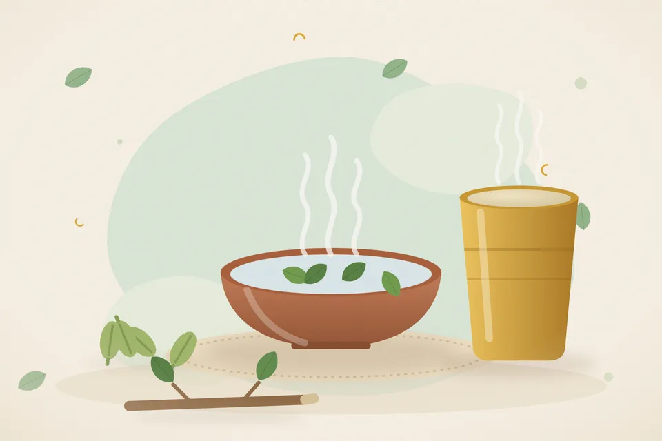Illustrated still life with cardamom.