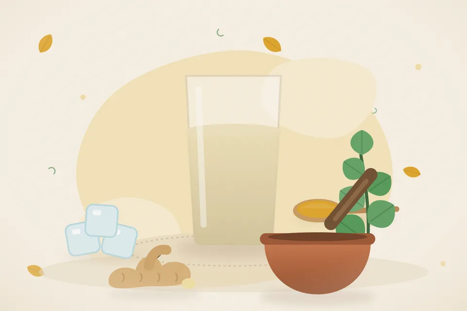 Illustrated still life with ice, mint leaves, fresh ginger.